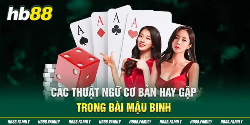 Các thuật ngữ cơ bản hay gặp trong bài Mậu Binh