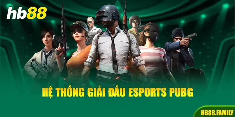 Hệ thống giải đấu Esports PUBG