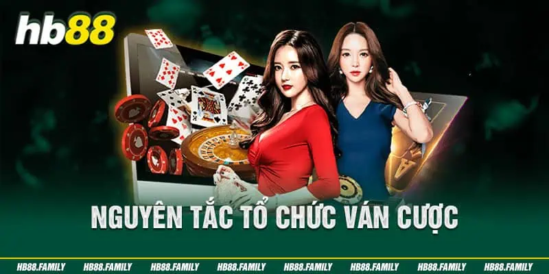 Nguyên tắc tổ chức ván cược 